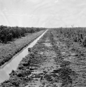Landschappen, Bestanddeelnr 250-8350