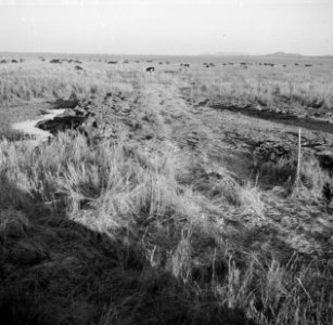 Landschappen, Bestanddeelnr 250-8416