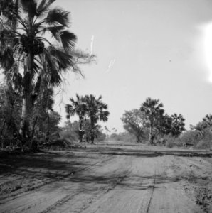 Landschappen, Bestanddeelnr 250-8403