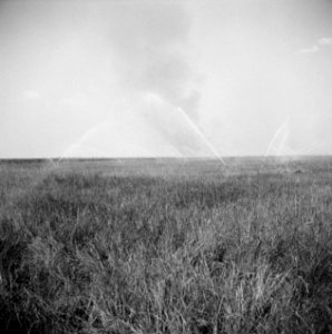 Landschappen, besproeiingen, Bestanddeelnr 250-8415