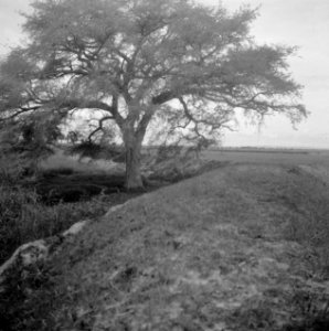 Landschappen, Bestanddeelnr 250-8469