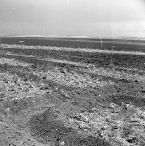 Landschappen, Bestanddeelnr 250-8258