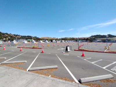 Larkspur-mass-vaccination-site-2
