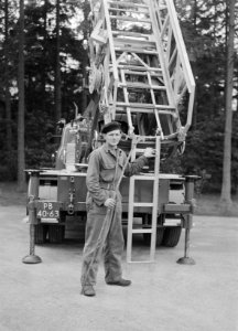 Lariks en douglas, ladderwagens, arbeiders, de hoge veluwe, Bestanddeelnr 166-0197
