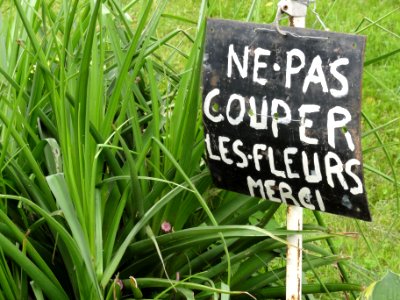 Laronxe (M-et-M) ne pas couper les fleurs, merci