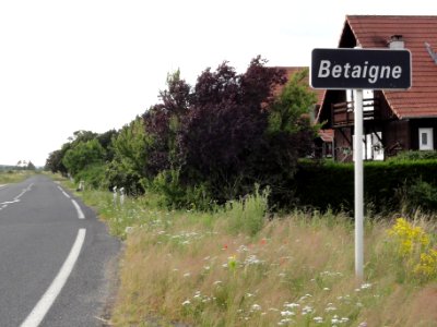 Laronxe (M-et-M) city limit sign Betaigne