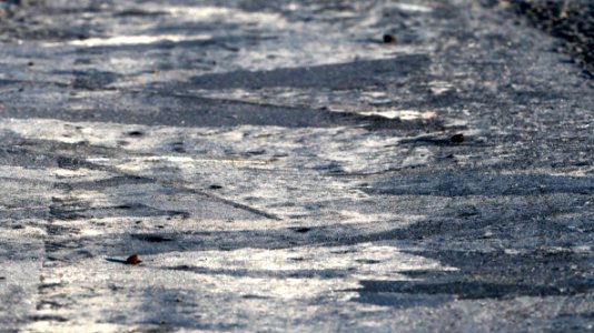 Large ice crystals in a frozen puddle 1