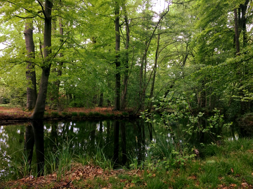 Larenstein Estate