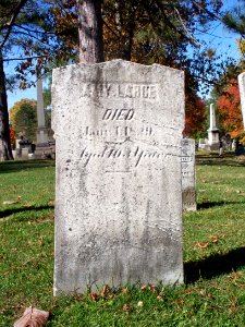 Large (Amy), Lebanon Church Cemetery, 2015-10-23, 01