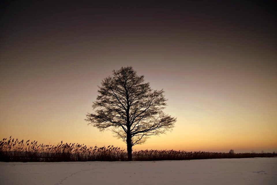 Twilight west snow