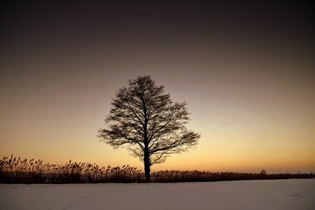 Twilight west snow