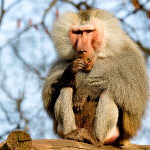 Krefeld zoo food photo