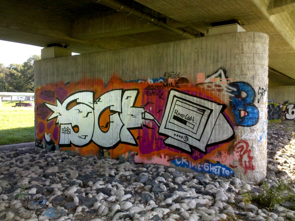 Lauersche Brücke bzw. Bauwerk 8 die S 46 über das Elsterhochflutbett führend -Flutbettpfeiler- im August 2017