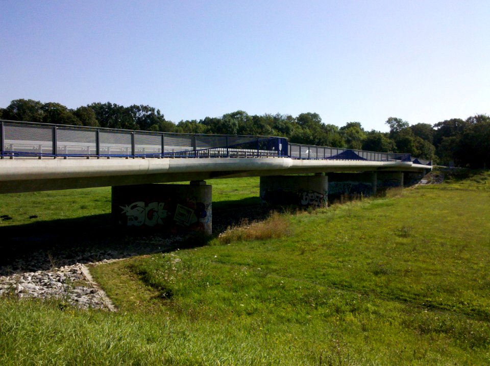 Lauersche Brücke bzw. Bauwerk 8 die S 46 über das Elsterhochflutbett führend -Dreiviertelsicht- im August 2017a