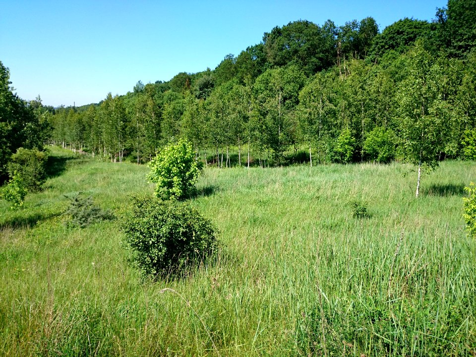Laukagaliai (Jonava) 2