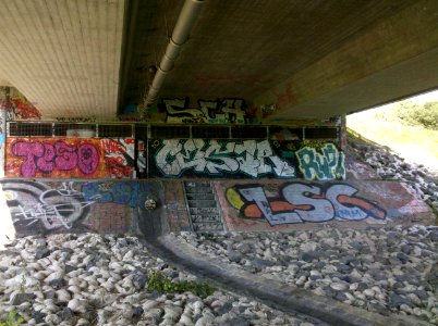 Lauersche Brücke bzw. Bauwerk 8 die S 46 über das Elsterhochflutbett führend -Untersicht- im August 2017b