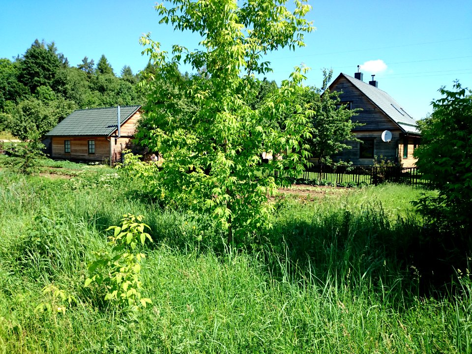Laukagaliai (Jonava) 45