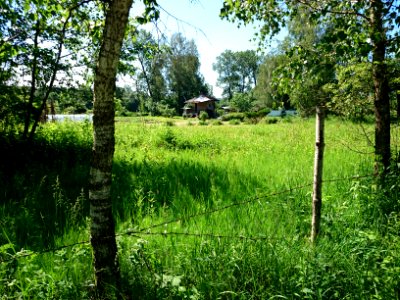 Laukagaliai (Jonava) 38