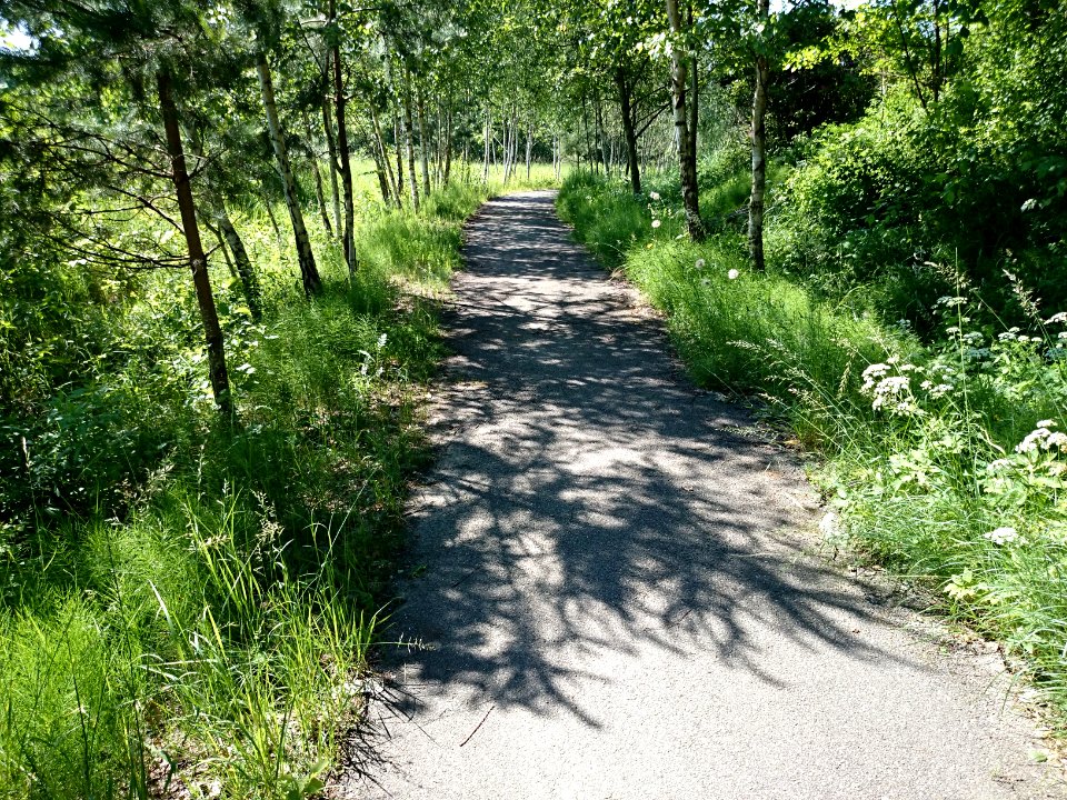 Laukagaliai (Jonava) 33