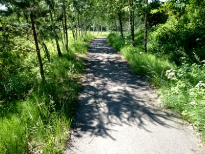 Laukagaliai (Jonava) 33