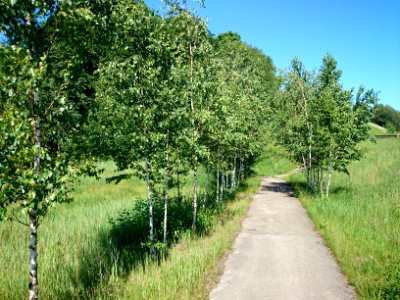 Laukagaliai (Jonava) 3