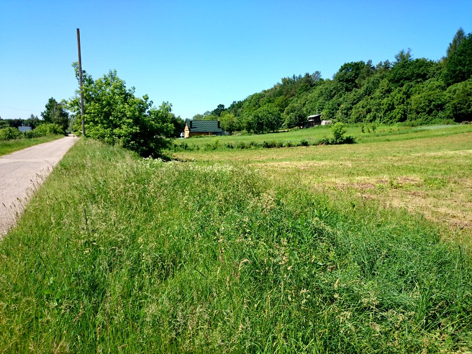 Laukagaliai (Jonava) 50