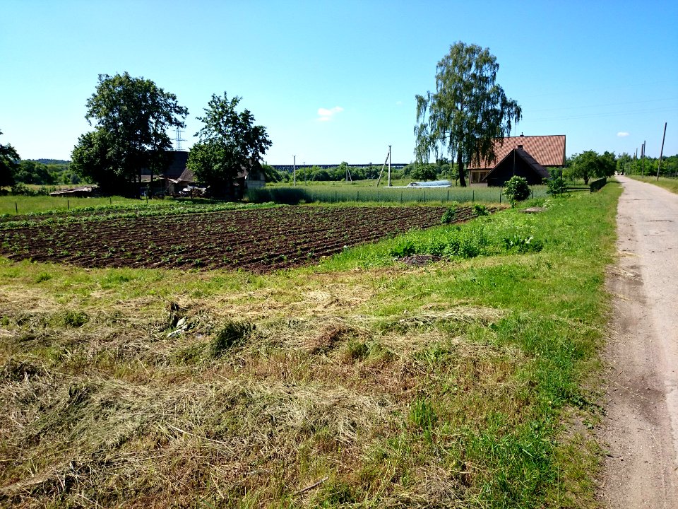 Laukagaliai (Jonava) 48