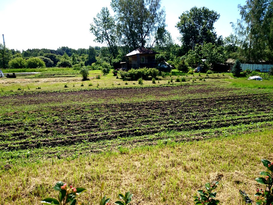 Laukagaliai (Jonava) 7