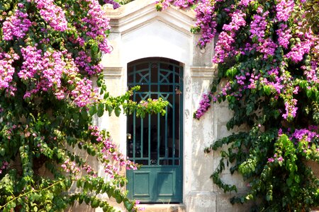 House facade architecture