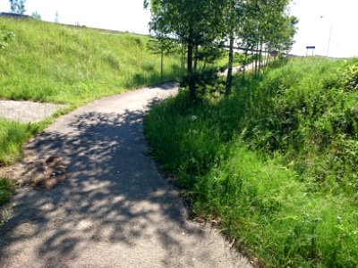 Laukagaliai (Jonava) 47