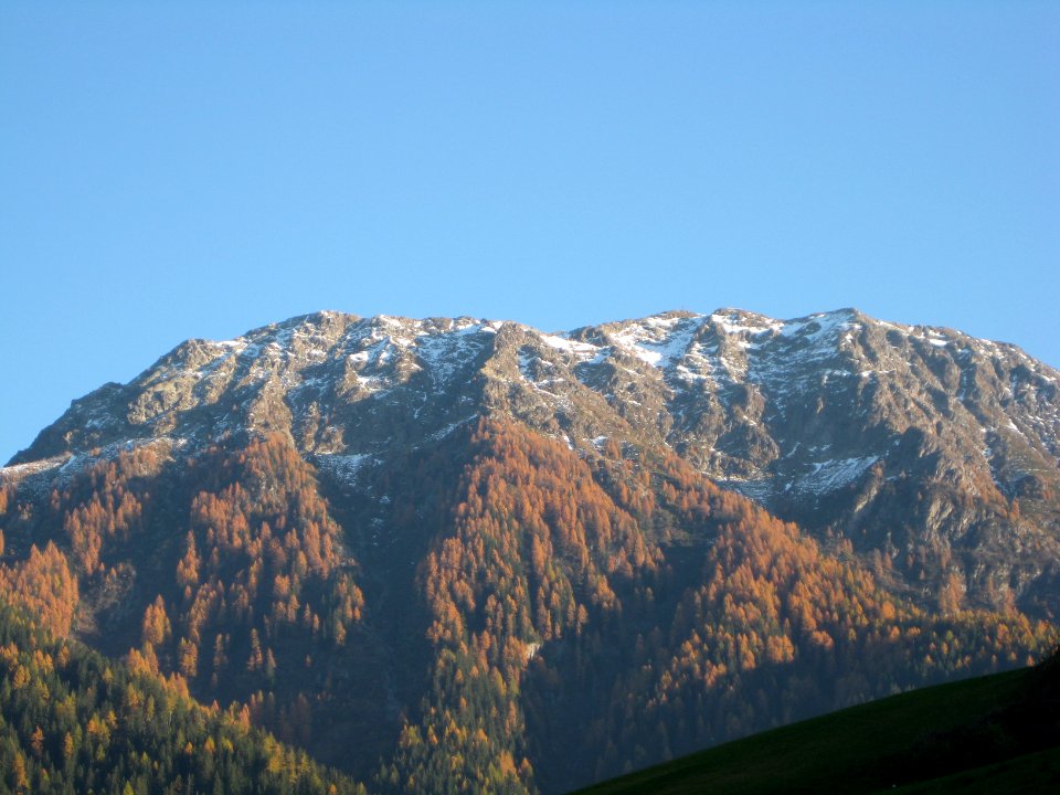Laugen von St. Pankraz