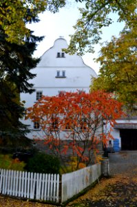 Laubuseschbach, Schönbornscher Hof
