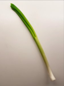 Lauchzwiebel