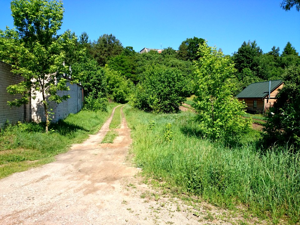 Laukagaliai (Jonava) 29