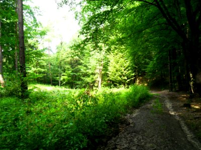 Las Widok 10
