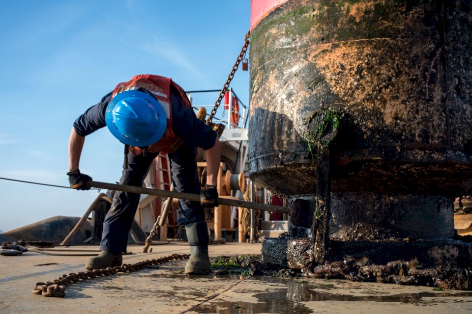 Marine life maritime work