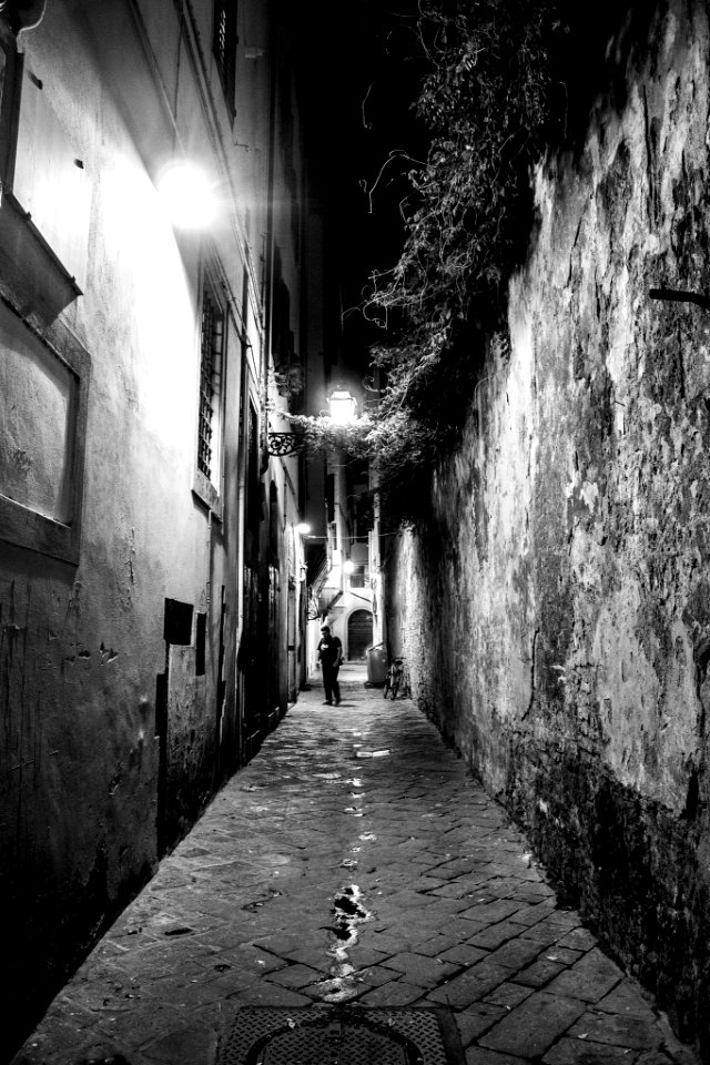 Las Callejuelas De Florencia (263985597)