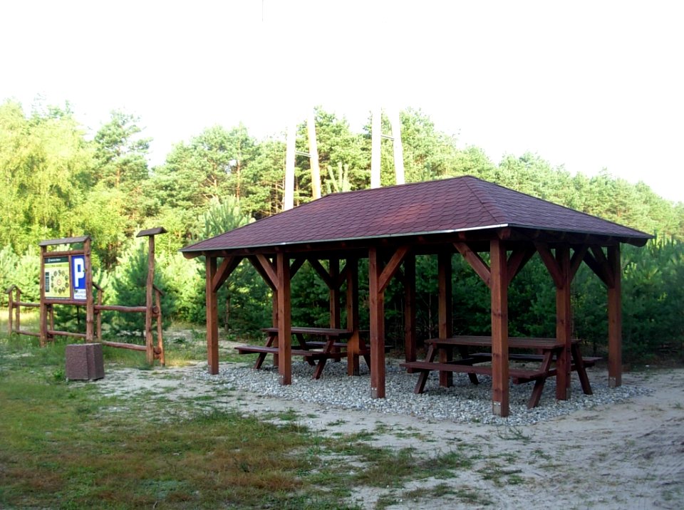 Las Gdański Bydg b