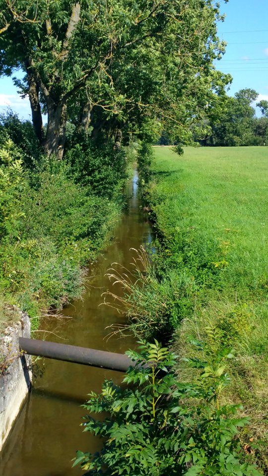 Langweidbach bei Siebnach
