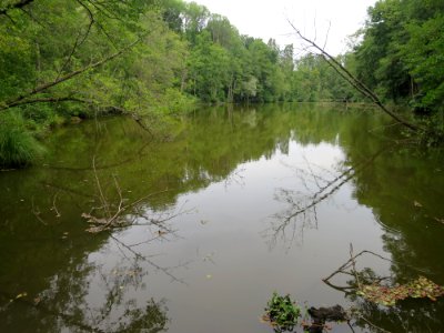 Langweiher Ebersberg 1