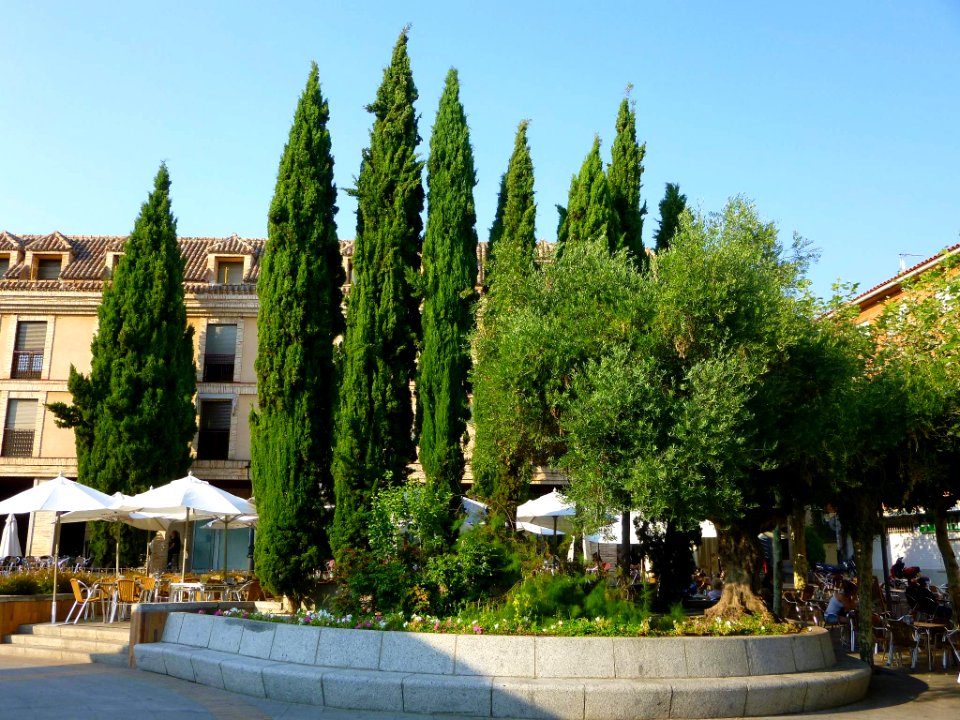 Las Rozas - 09