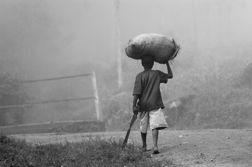 Village farming rural