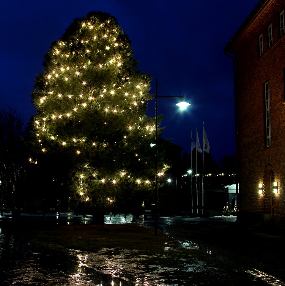 Lasaretinsaari Christmas Tree Oulu 20131226 03