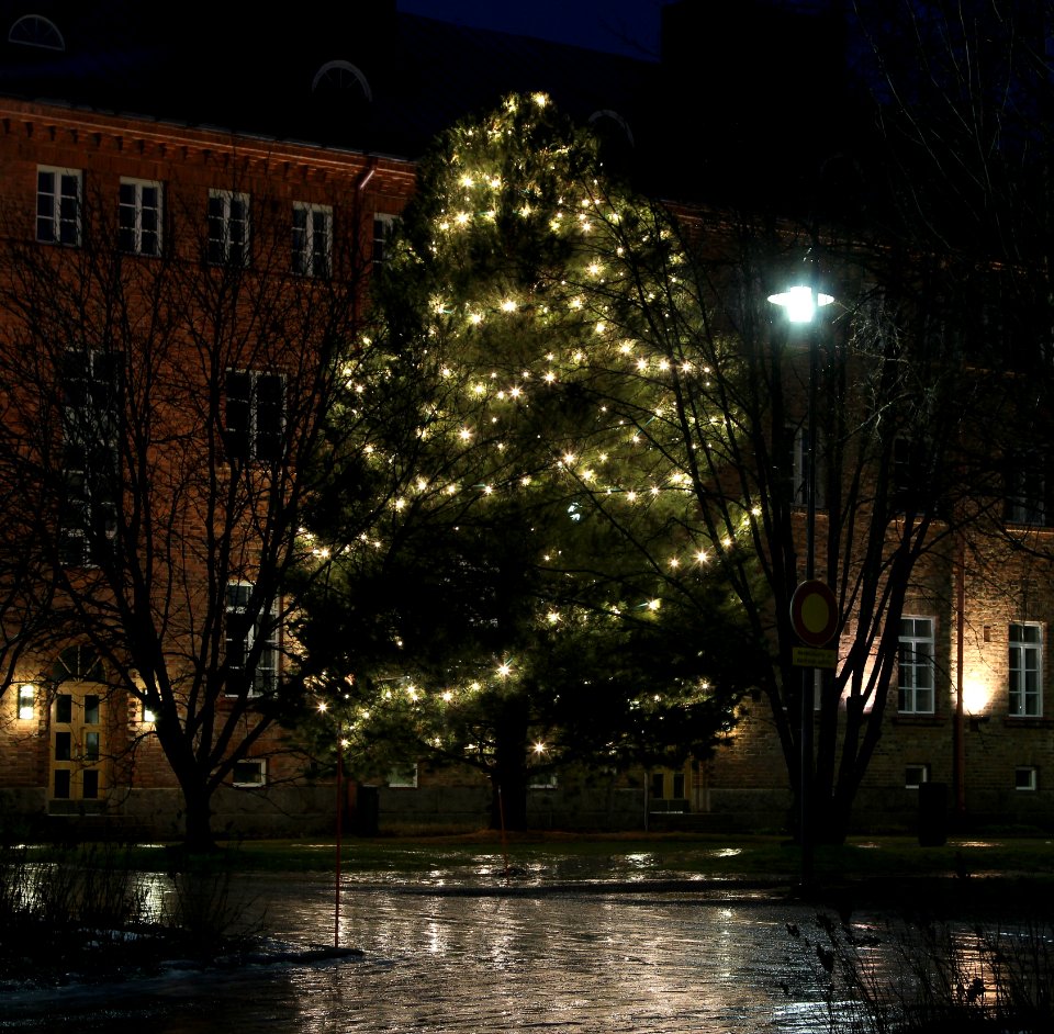 Lasaretinsaari Christmas Tree Oulu 20131226 02