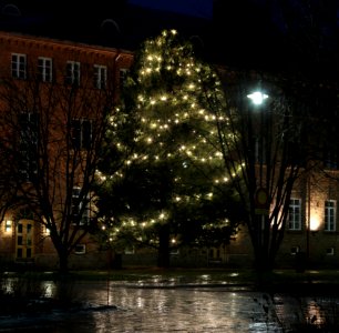 Lasaretinsaari Christmas Tree Oulu 20131226 02
