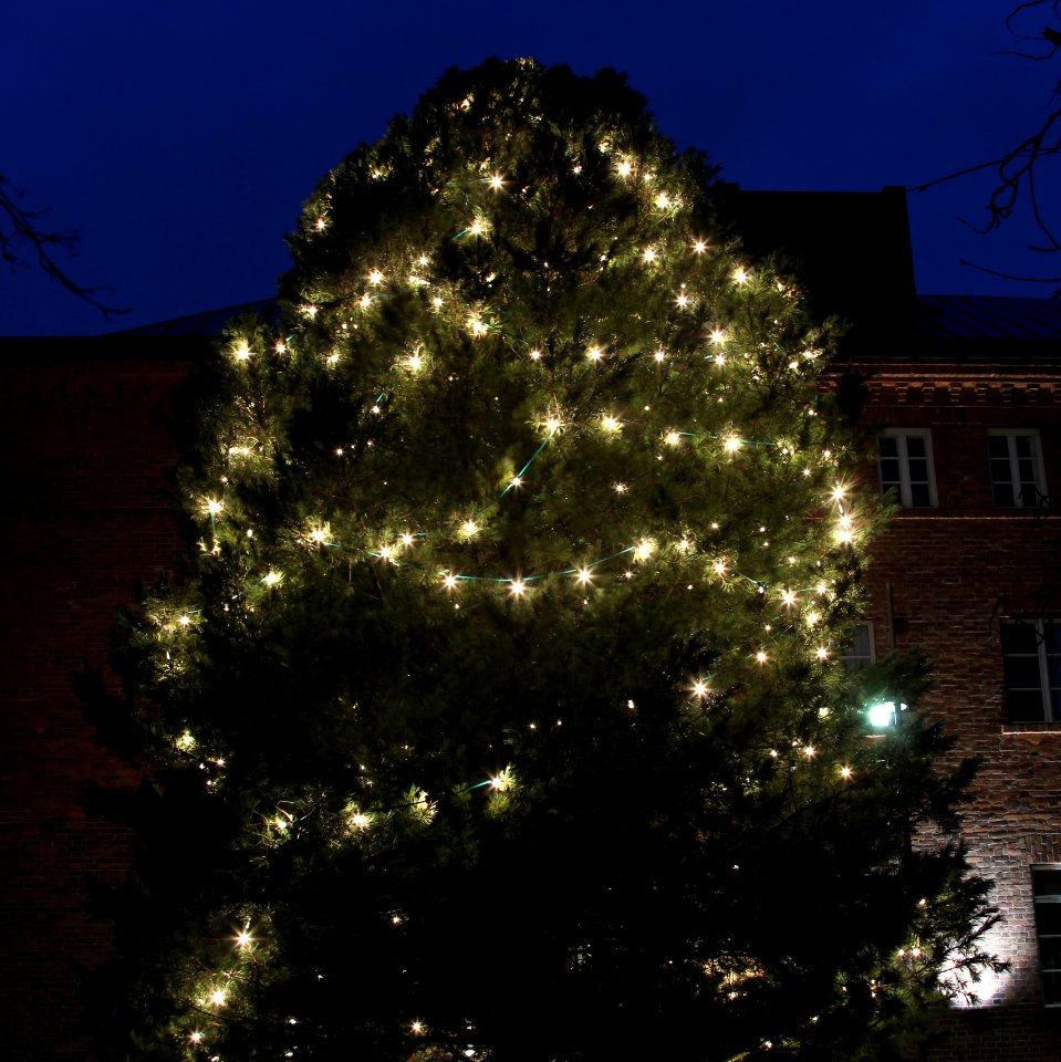 Lasaretinsaari Christmas Tree Oulu 20131226 01