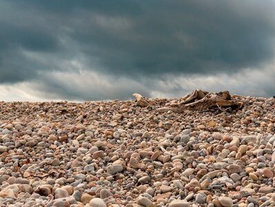 Driftwood summer stormy