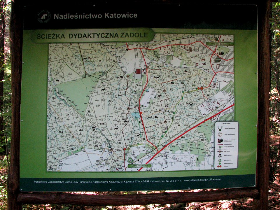 Lasy Panewnickie Katowice August 2011 10
