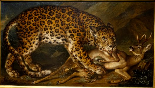 Leopard by Georg Adam Eger, Darmstadt, 1750, oil on canvas - Hessisches Landesmuseum Darmstadt - Darmstadt, Germany - DSC00070