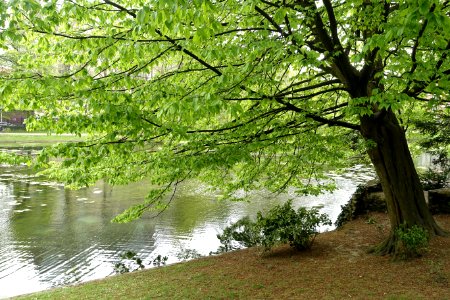 Leopold Park - Brussels, Belgium - DSC08335
